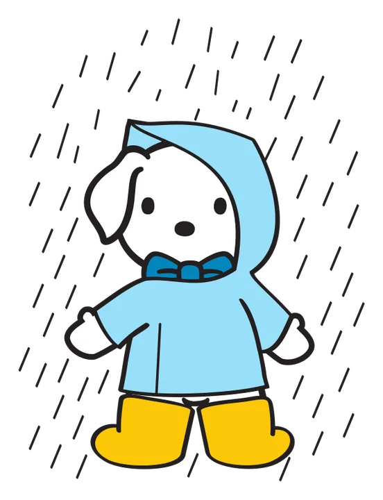 Hi Puppy — Seasons